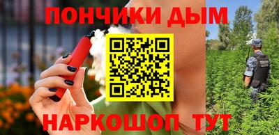 гидропоника Кингисепп